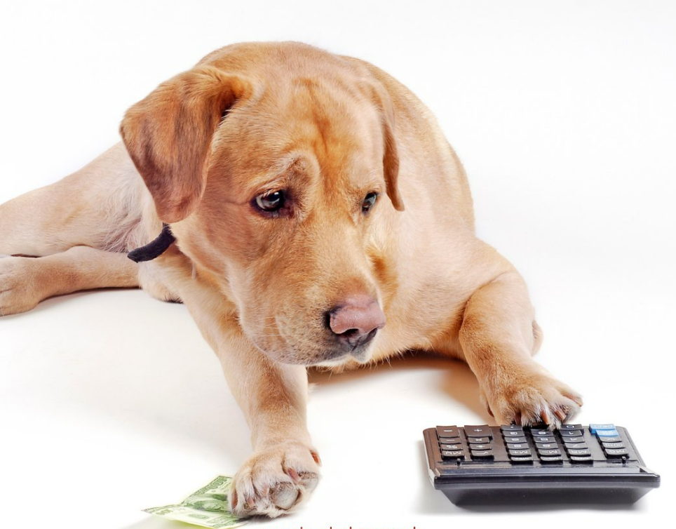 Bild von 50% OFF First Order CODE: ECO50